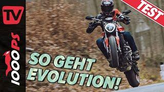 Ducati Monster 2021 im Test | Überraschung auf der Landstraße | Sound, Wheelies, Fahrwerk, Eindruck