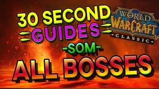 Molten Core - All Bosses - SoM - 30 Second Guides