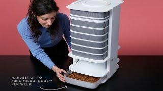 LIVIN FARM HIVE  - Think About Your Next Meals With Your Own Worms