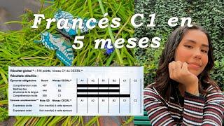 FRANCÉS AVANZADO EN 5 MESES | TCF NIVEL B2 C1 | Plan + recursos gratis 