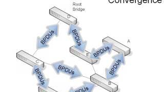 16. Rapid Spanning Tree Protocol 802 1W