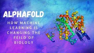 AlphaFold: How Machine Learning is Changing The Field of Biology