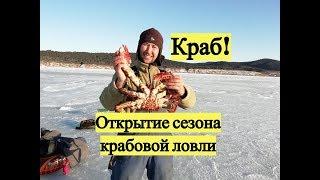 Краб! Открытие сезона крабовой ловли / Crab! Catching a crab under the sea ice