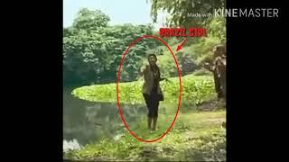 Buaya Menyerang Gadis Saat Mengambil Fotonya | Mengejutkan!!! | Video viral |