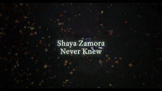 Shaya Zamora - Never Knew [Lyric Video]