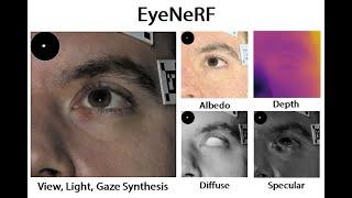 EyeNeRF: A Hybrid Representation for Photorealistic Synthesis Animation and Relighting of Eyes 30sFF