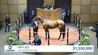 Informed Patriot sells for $1.55 million at July Selected Horses of Racing Age (2024)