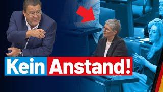 Stephan Brandner kritisiert Altparteien-Staat, Grüne kann es nicht lassen...- AfD-Fraktion