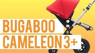 The Bugaboo Cameleon 3+ Stroller 2019: an updated classic