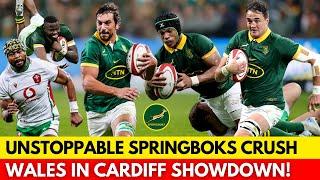 SPRINGBOKS’ TOWERING LOCKS CRUSH WELSH HOPES IN DOMINANT DISPLAY! | SPRINGBOKS NEWS