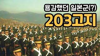 203고지에 관한 이야기입니다.