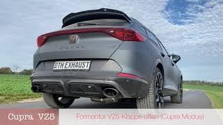 DTH REAPER Klappenanlage Cupra Formentor VZ5