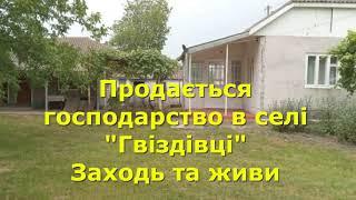 БУДИНОК ПРОДАМ В СЕЛІ "ГВІЗДІВЦІ", ЗАХОДЬ І ЖИВИ / ОГЛЯД /   Чернівецької обл