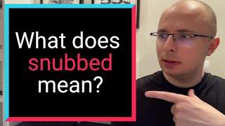 What does SNUBBED mean? - Merlin Dictionary