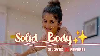 Solid _Body || Slowed  Reverb ||Ajay Hooda || Raju Punjabi