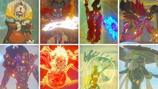 Zelda Breath of the Wild + DLC - All Bosses (No Damage) Master Mode