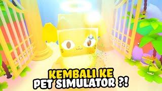 AKU KEMBALI MAIN PET SIMULATOR DAN MASUK KE DUNIA BACKROOMS | Roblox Indonesia