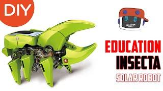 Stem Toys II Insect Educational Solar Robot Kit II DIY