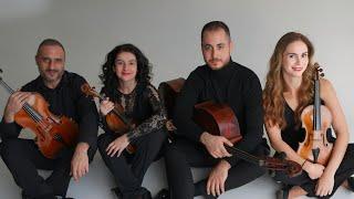 Borodin String Quartet No. 2 Avetis String Quartet