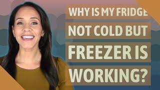 Why is my fridge not cold but freezer is working?