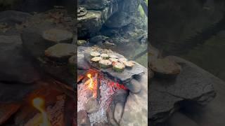 Doğal Taş Üstünde Kabak Halka kebabı | Cooking zucchini ring kebab on natural stone 