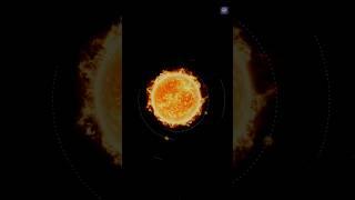 Year Lengths on Different Planets #shorts  #space #spacefacts #solarsystem