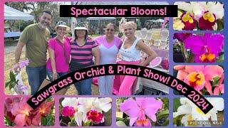 Sawgrass Orchid & Plant Show- Spectacular Blooms- Great Vendors! Dec 2024