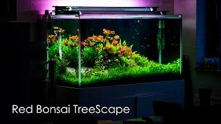 Red Bonsai TreeScape of Aquaflora's Canteen in 4K