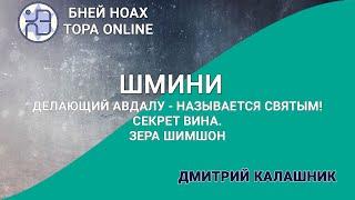 Делающий авдалу - называется святым! Секрет вина. Зера Шимшон 7. Недельная глава Шмини