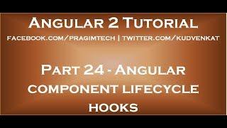 Angular component lifecycle hooks