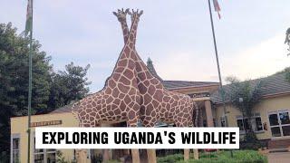 Inside Uganda wildlife education center [Entebbe zoo] in 2024.