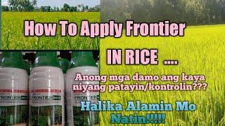 How To Apply Frontier 200 OD Herbicide/ Perlie Bacolcol Velasquez