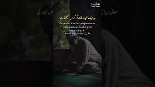 Allama iqbal poetry aik sajda jisay to giraan samajta hey #allamaiqbalpoetry #iqbalistan