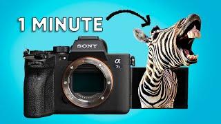 How to Use Zebras for Exposure