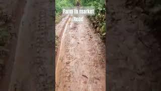 Farm to market road #farmingchallenges #farming #adventures