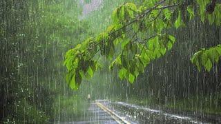 Som real de Chuva na folhagem  Barulho de Chuva com Raios e Trovões para dormir - Rain sounds