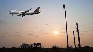 Birds Flying After Departure | Cochin Airport Plane Spotting | Vistara and Air India | Airbus A320