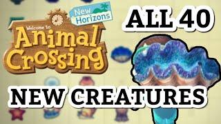 All 40 New Sea Creatures | Animal Crossing New Horizons