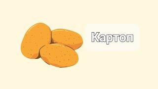 Картоп / картошка / картоп егу әдісі / картоп өсіру