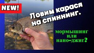 Ловим карася на спиннинг. Мормышинг или нано-джиг?