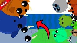 MOPE.IO 3 NEW ANIMALS vs 1000 ANIMALS!! // Blue Whale Trolling (Mope.io Update)