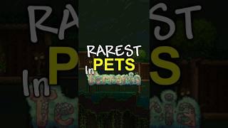 How to get the RAREST pets in Terraria