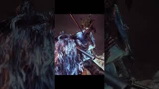 First time doing SEKIRO Transition