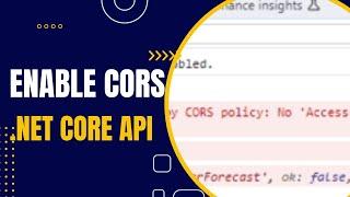 How to Enable cors in the  .NET CORE | cors in web api c#