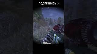 Не повезло #stalcraft #exbo