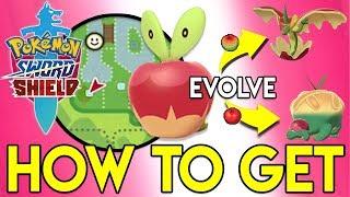 How to get Applin Flapple Appletun in Pokemon Sword and Shield (Location and How to Evolve)