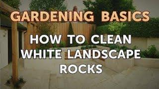 How to Clean White Landscape Rocks