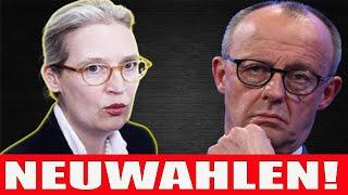 Alice Weidel VERKLAGT DIE Friedrich Merz - Neuwahlen! Und zwar sofort!