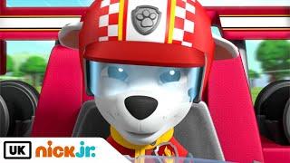 PAW Patrol | Ready Race Rescue: Marshall vs. Cheetah | Nick Jr. UK