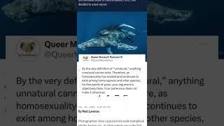 What gay humpback whales mean | #gayisokay #lgbt #itgetsbetter #gayrights